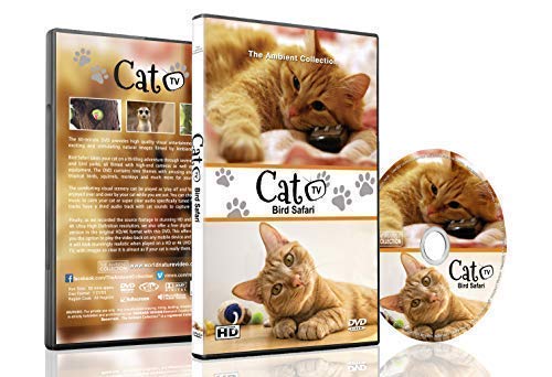 Family Cat DVD   Cat TV   Entertain your Cats with Stimulating Images of Cute Little Animals and Birds in Natural Sounds or Music