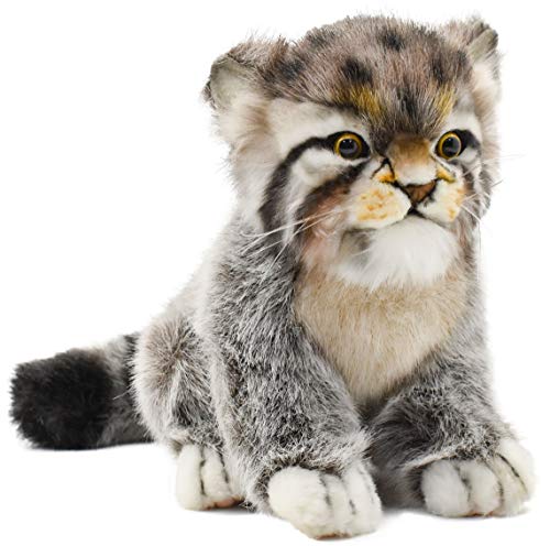 HANSA Pallas Kitten,