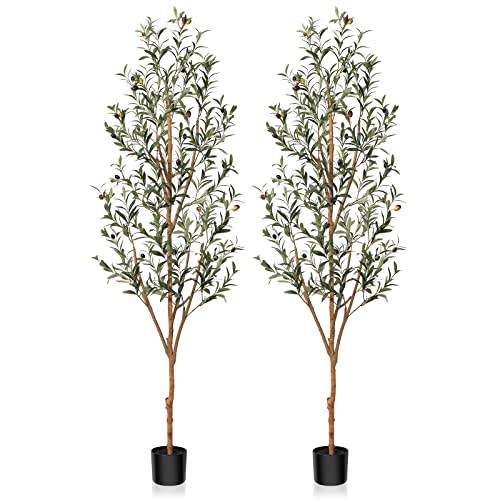 Kazeila Artificial Olive Tree FT Tall Faux Silk Plant for Home Office Decor Indoor Fake Potted Tree with Natural Wood Trunk and Lifelike Fruits, Pack