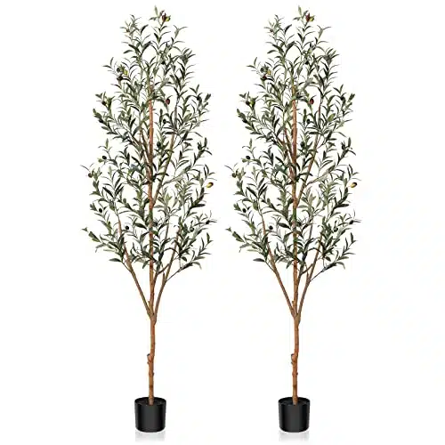 Kazeila Artificial Olive Tree FT Tall Faux Silk Plant for Home Office Decor Indoor Fake Potted Tree with Natural Wood Trunk and Lifelike Fruits, Pack