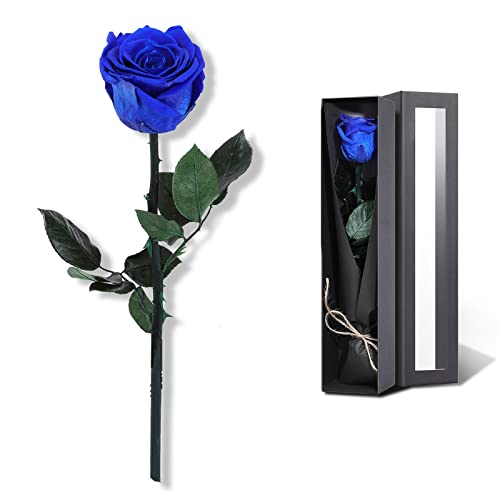 Preserved Rose, Preserved Flowers for Delivery Prime, Single Rose Womens Gifts for Christmas, Real Rose Gifts for Her, Birthday Gifts, Valentines Flowers for Girlfriend Blue Rose