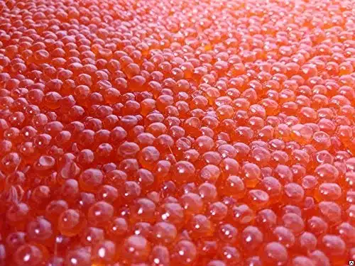 Salmon Red Caviar, Premium Chum Roe lb  g