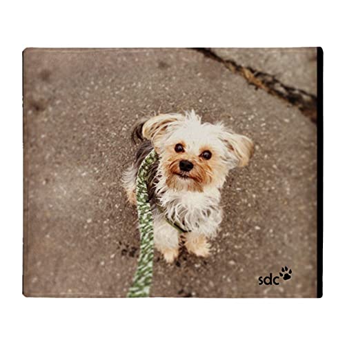 CafePress Joey Throw Blanket Super Soft Fleece Plush Throw Blanket, x