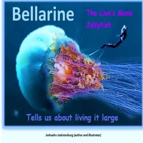 Bellarine The Lion's Mane Jellyfish Tells us about living it large ('Fascinating Creatures')