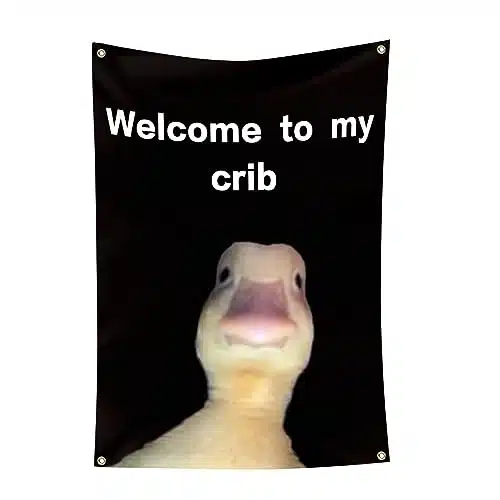 CLRIEOS Welcome to My Crib Flag xFeet Funny Flags for Room Durable Man Cave Wall Flag with Brass Grommets for College Dorm Room Decor,Outdoor,Parties