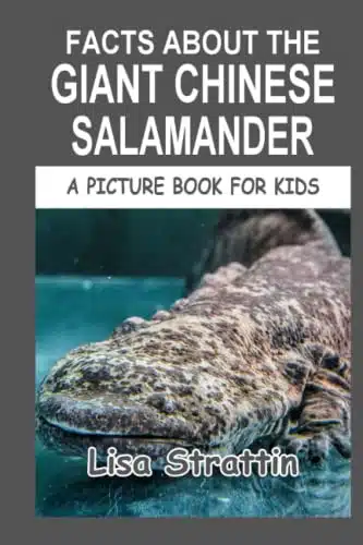 Facts About the Chinese Giant Salamander (A Picture Book For Kids)