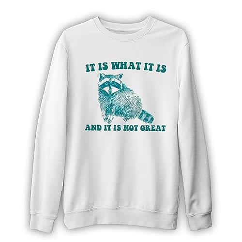 It Is What It Is And It Is Not Great   Vintage Drawing Sweatshirt, Raccoon Meme Sweatshirt, Funny Trash Panda Sweatshirt, Unisex Sweatshirt