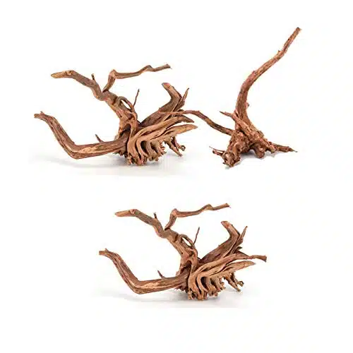 Tfwadmx Aquarium Driftwood,Pcs Spider Wood Sinkable Driftwood for Fish Tank Decorations Natural Branches for Reptile