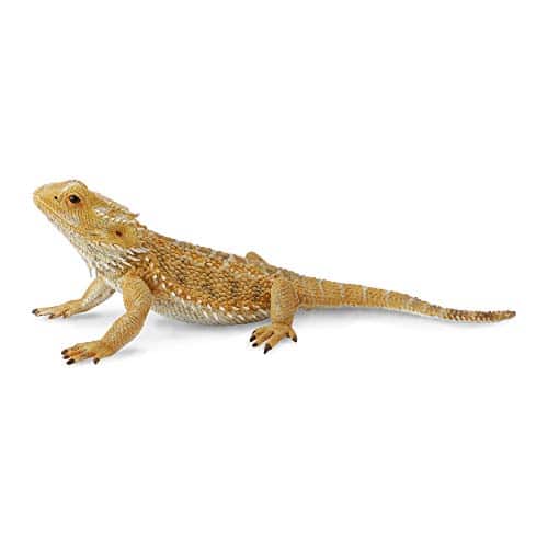 CollectA Bearded Dragon Lizard Toy Figure Authentic Hand Painted Model , Tan , inch