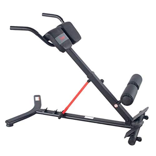 Sunny Health & Fitness Hyperextension incline,flat Roman Chair with Dip Station SF BH, Black